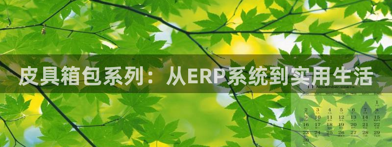 琳琅娱乐是什么